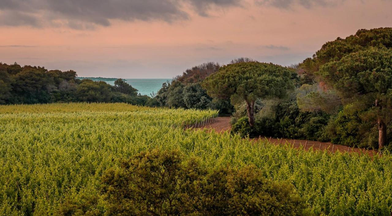 Masseria Mongio Dell'Elefante Otranto Eksteriør billede