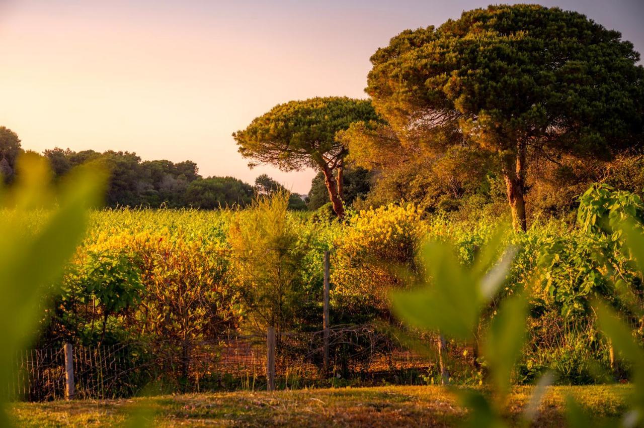 Masseria Mongio Dell'Elefante Otranto Eksteriør billede