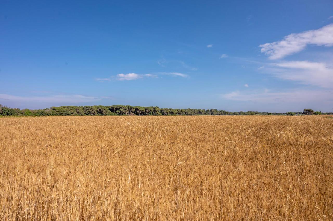 Masseria Mongio Dell'Elefante Otranto Eksteriør billede