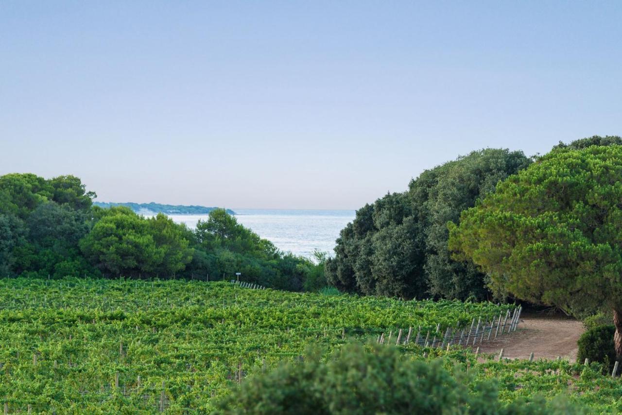 Masseria Mongio Dell'Elefante Otranto Eksteriør billede